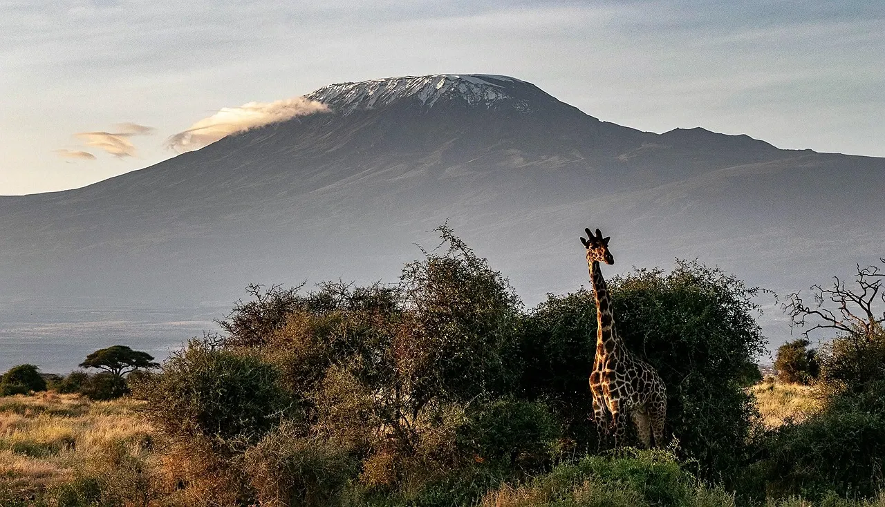 Mount Kenya & Ol Pejeta Conservancy: Adventure Wildlife &Conservation Safari
