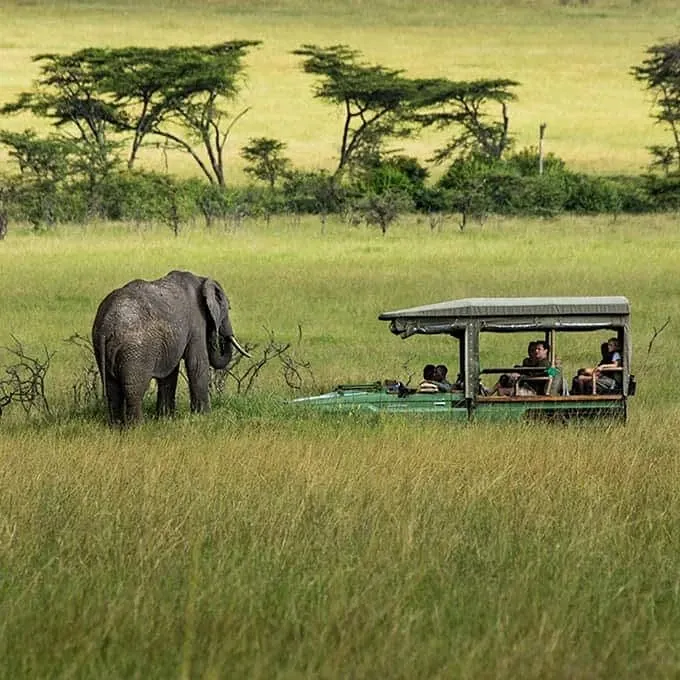 Masai Mara february 2026