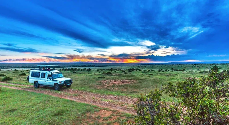 How Much Does a Kenya Safari Cost? A Comprehensive 2026 Price Guide