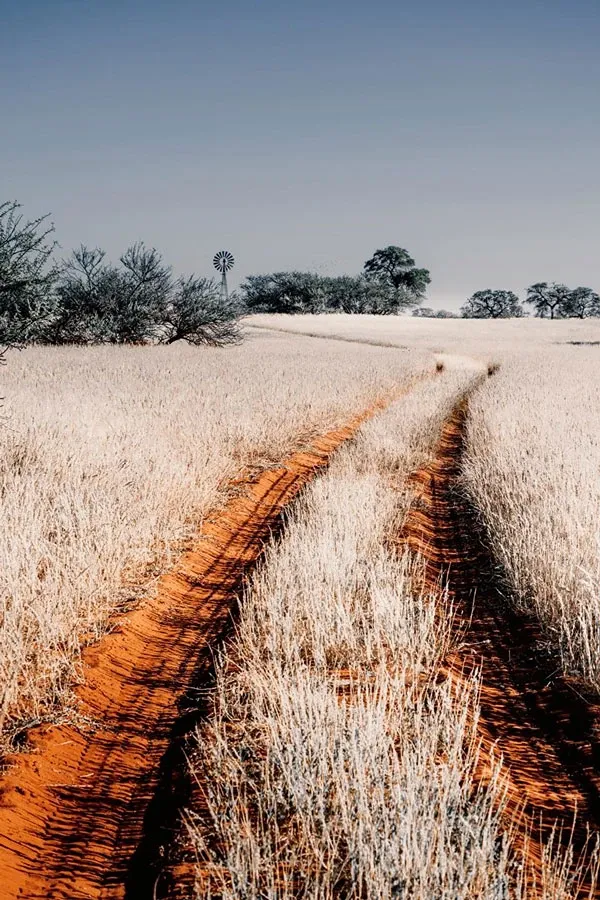 This Namibia part of the trip will work geographically?