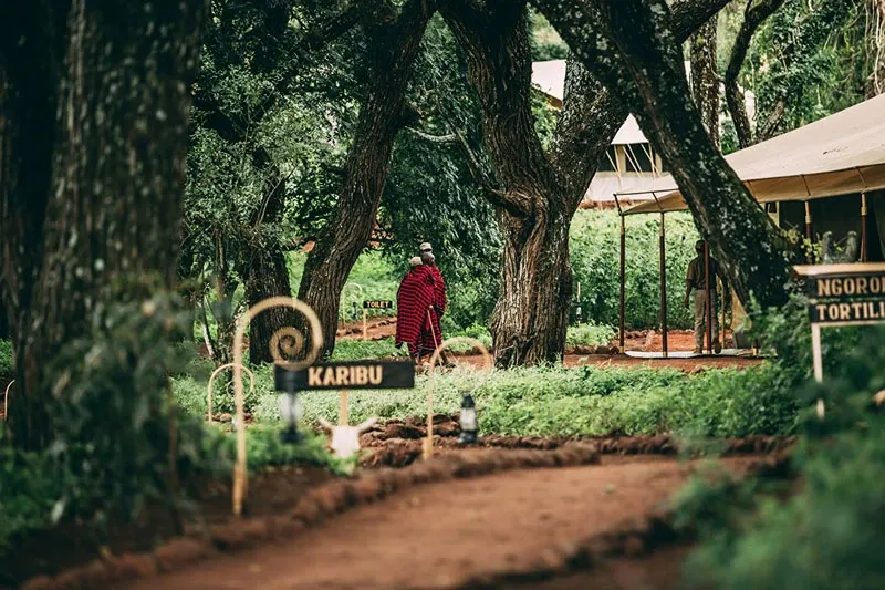 Best lodging Ngorongoro Crater (w/comfort for elderly)?