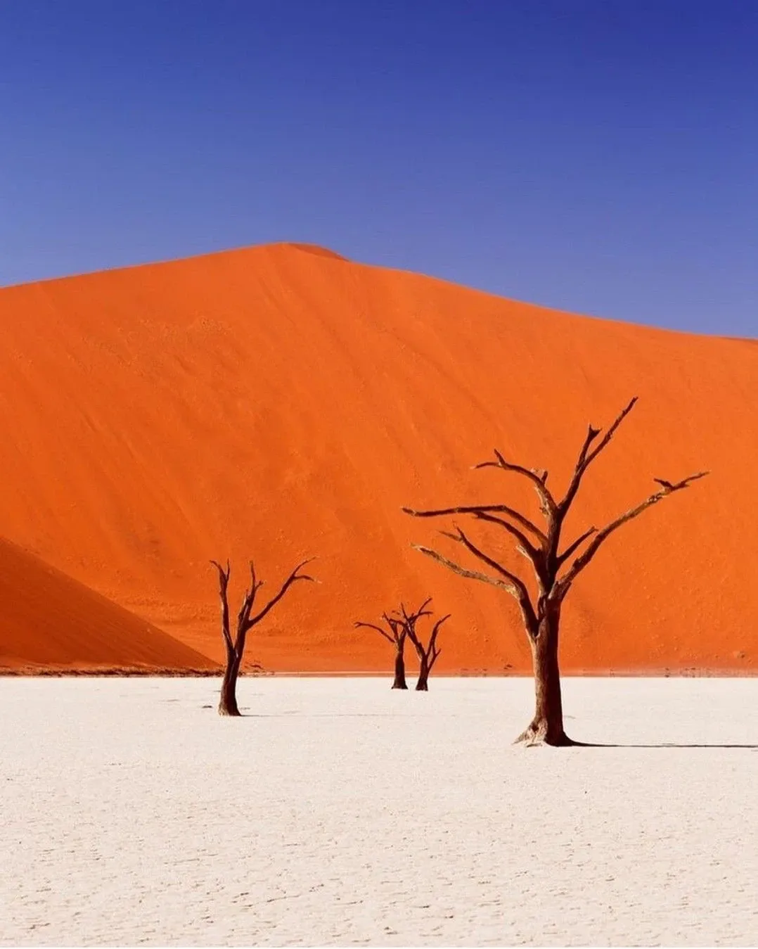 Report:How I did Sossusvlei as a solo traveller on a budget