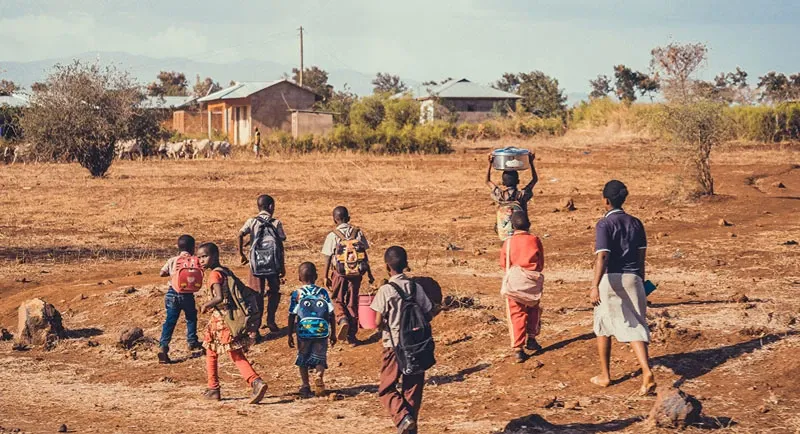 Safari Circuits in Tanzania: Northern vs. Southern Routes