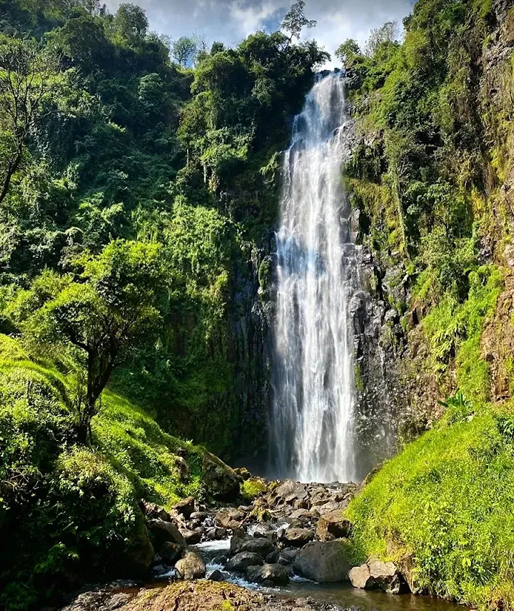 Best One day trip to Materuni Waterfall and Coffee experience.