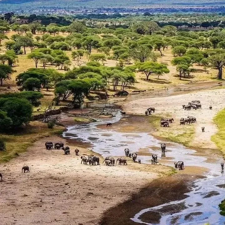 Realistic travel time from Tarangire to Kilimanjaro airport